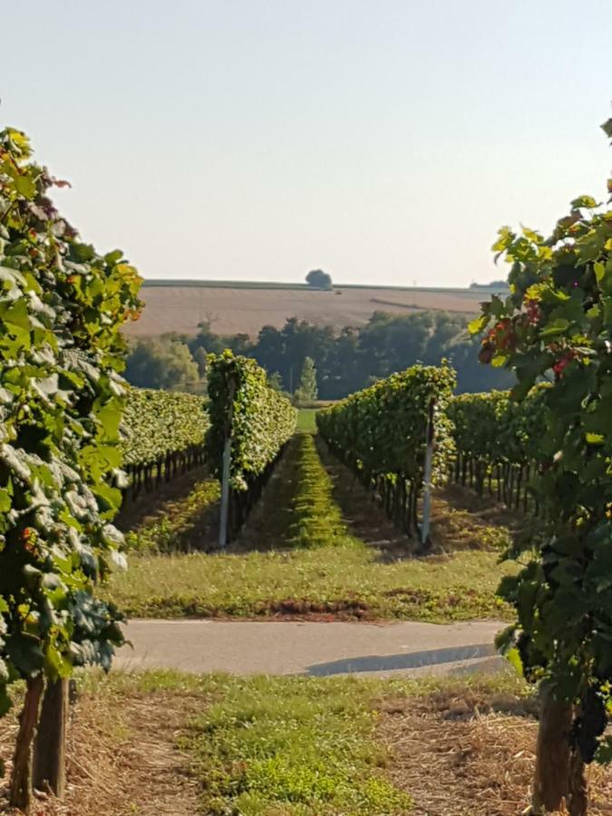 Weingut & Gaestehaus Nagel Kapellen-Drusweiler Eksteriør billede